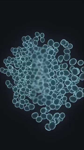 Dermicure: La Formula Mas Potente Para Ifecciones Genitales